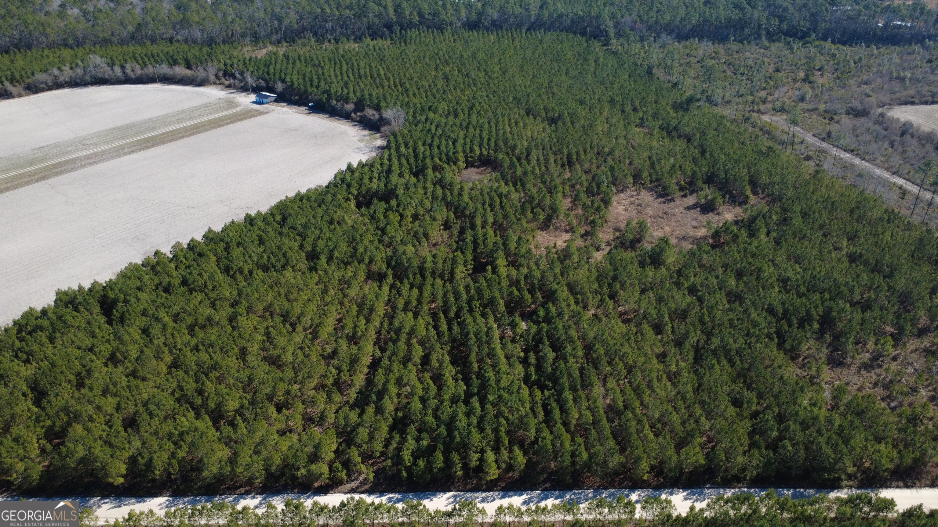 3 Greyhound Road Mershon, GA 31551 - Photo 4 of 6