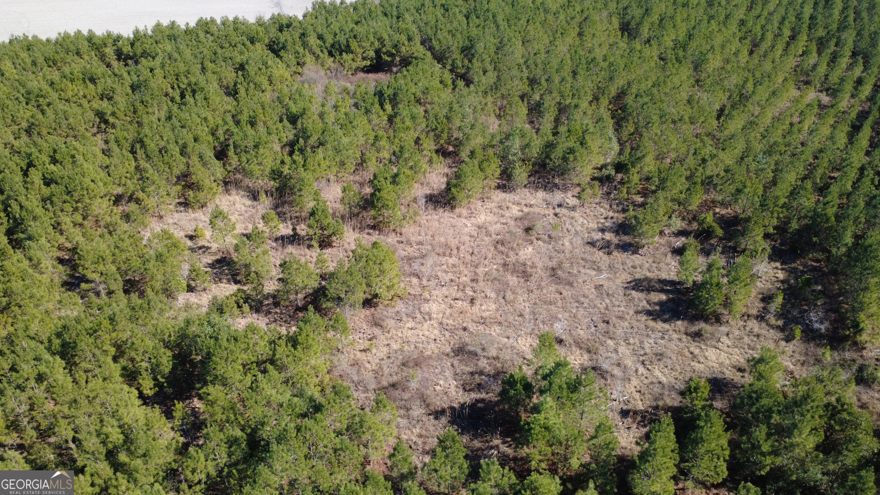 3 Greyhound Road Mershon, GA 31551 - Photo 5 of 6