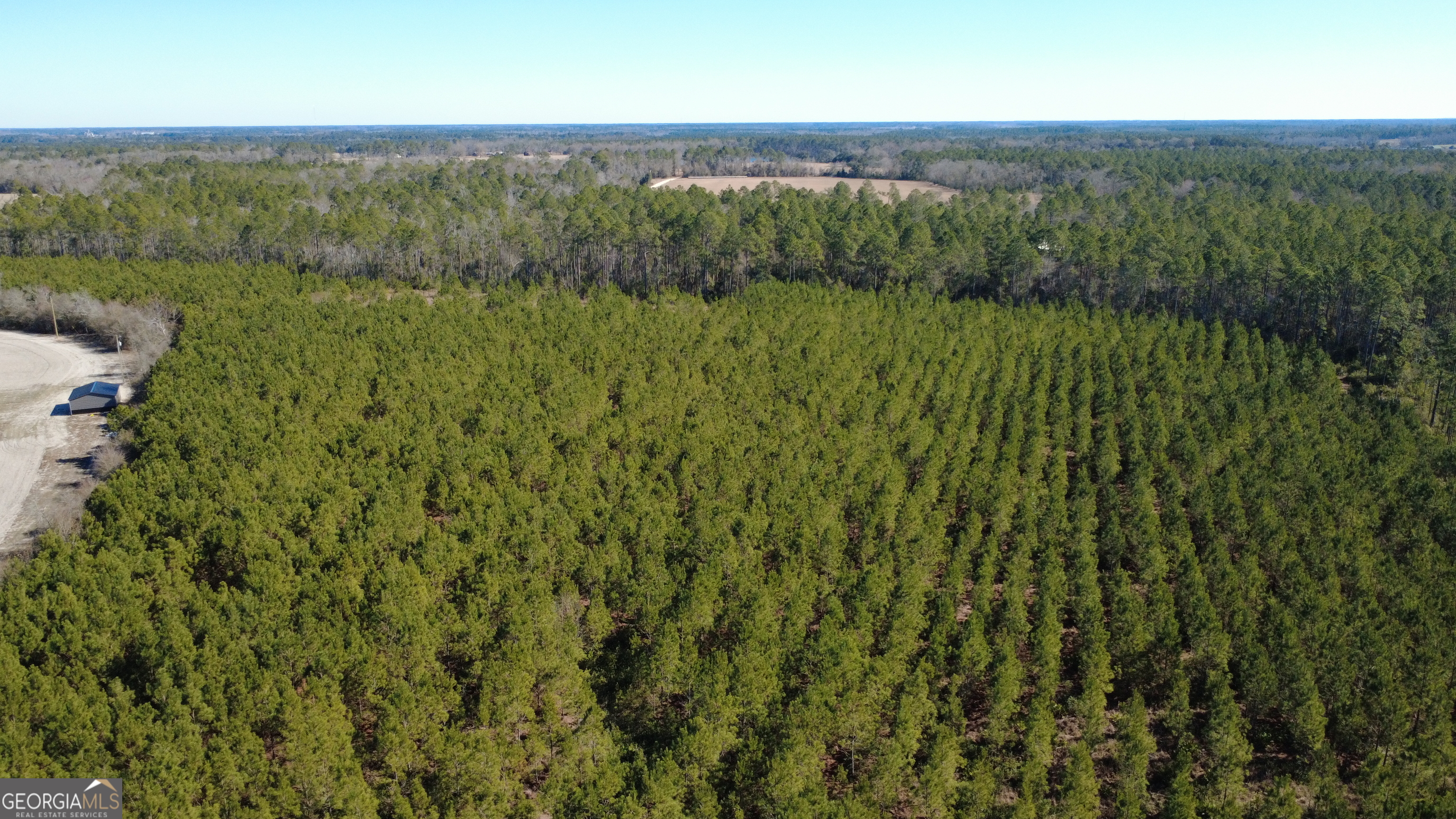 3 Greyhound Road Mershon, GA 31551 - Photo 6 of 6