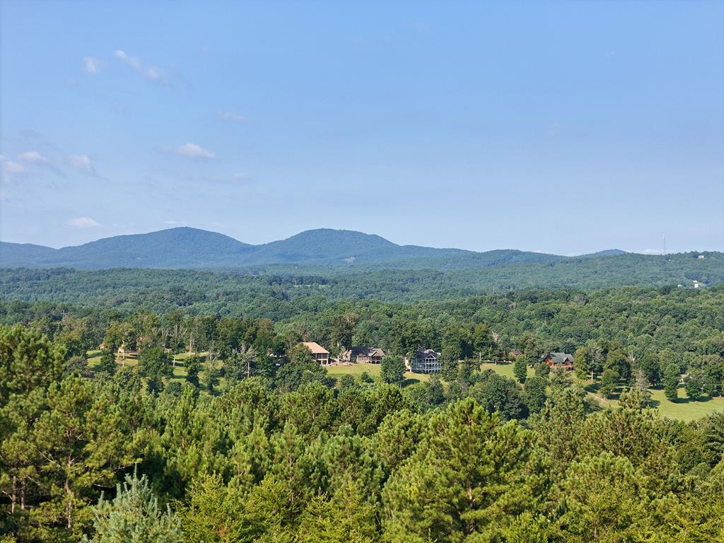 278 Ridge Pointe Way Blairsville, GA 30512 - Photo 15 of 54 Gallery Image 15