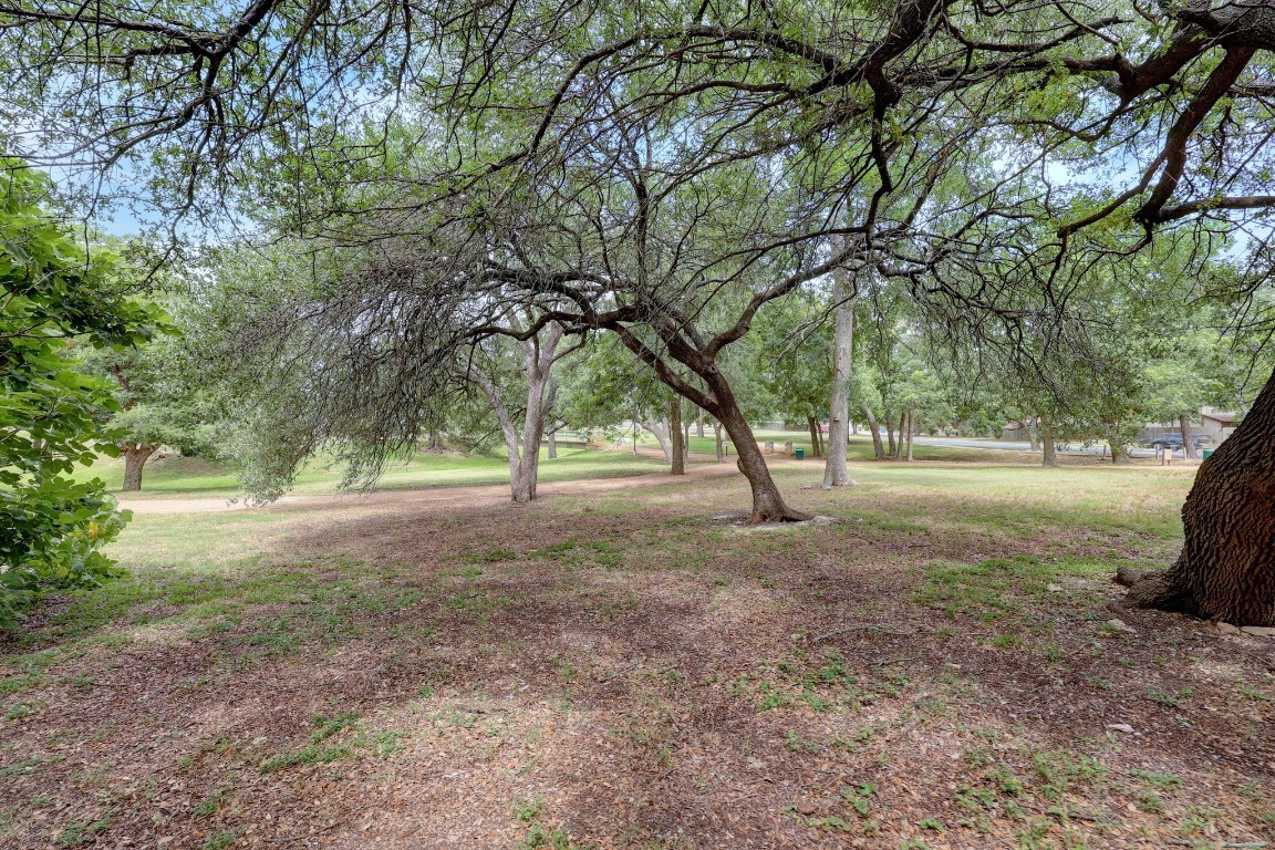 12319 Double Tree Lane Austin, TX 78750 - Photo 20 of 27 a view of dirt yard with a tree