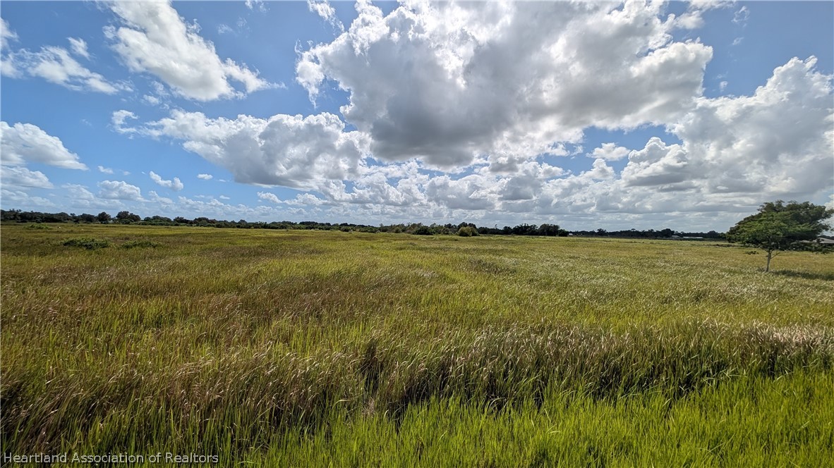 445 Metheny Road Wauchula, FL 33873 - Photo 12 of 14