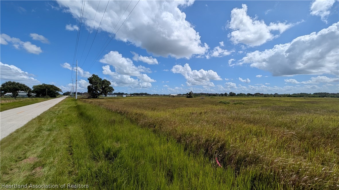 445 Metheny Road Wauchula, FL 33873 - Photo 13 of 14 a view of yard and ocean