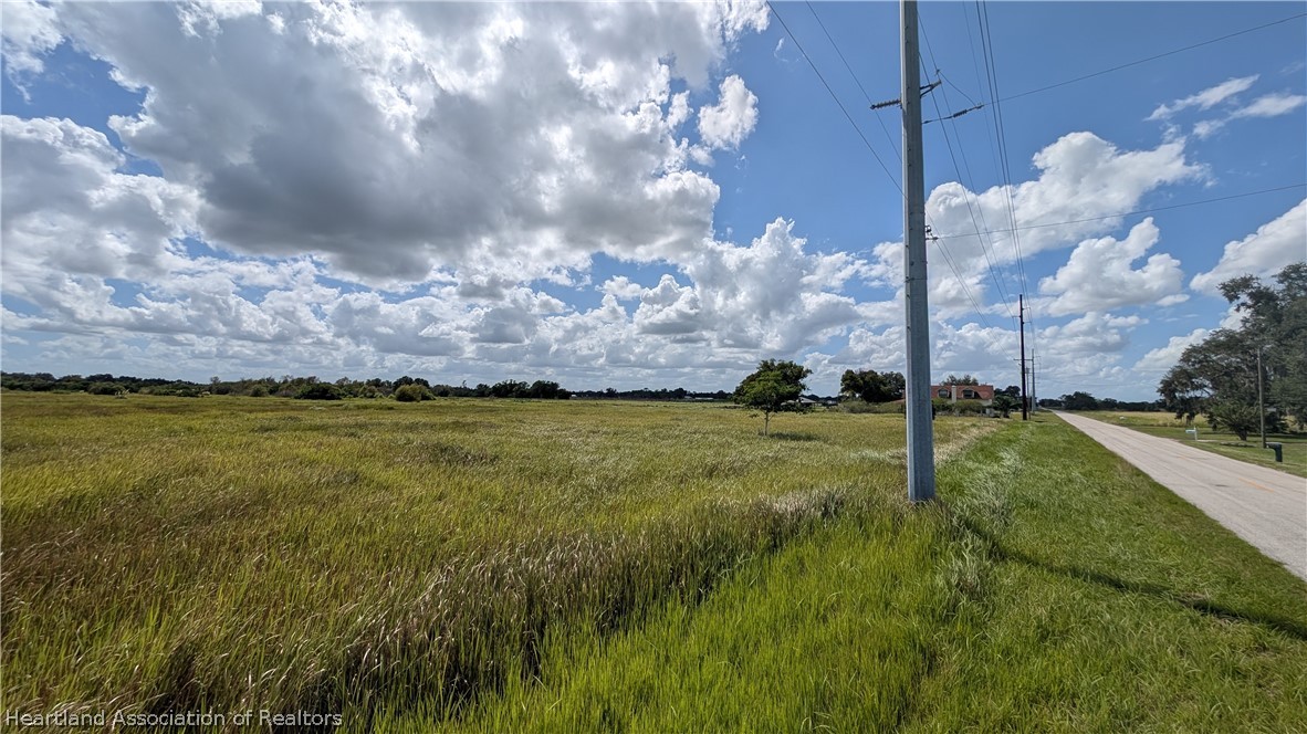 445 Metheny Road Wauchula, FL 33873 - Photo 14 of 14 a view of an outdoor space and yard