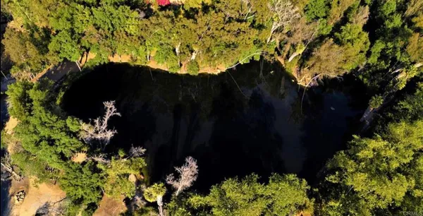 a front view of a house with yard and trees