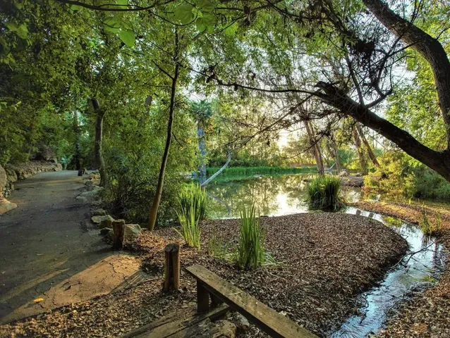 a view of a yard with plants and trees