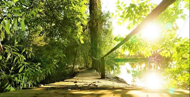 a view of a golf course with a house