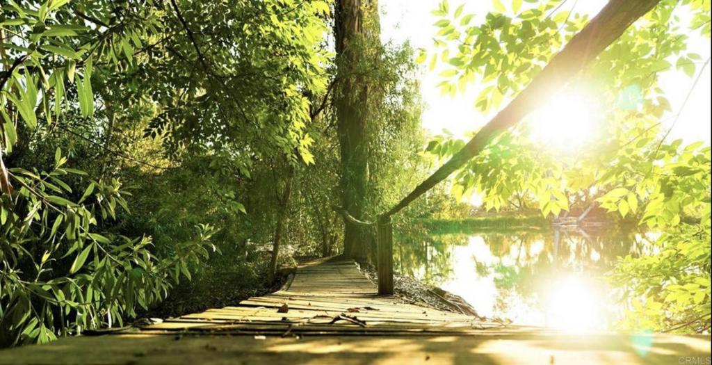 6036 Rainbow Heights Road Fallbrook, CA 92028 - Photo 12 of 70 a view of swimming pool with a yard