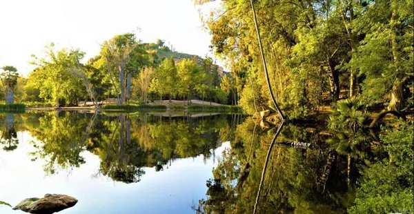 a view of a backyard with sitting area