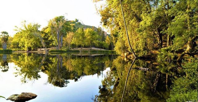 a view of a park with large trees