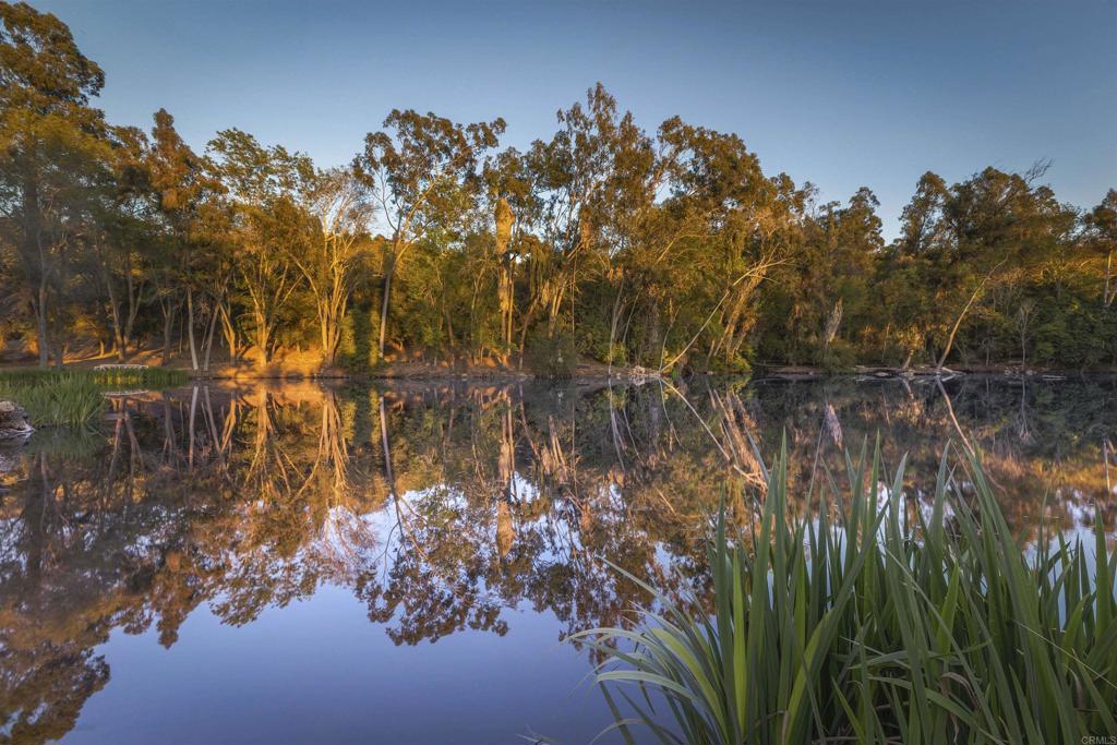 6036 Rainbow Heights Road Fallbrook, CA 92028 - Photo 14 of 70