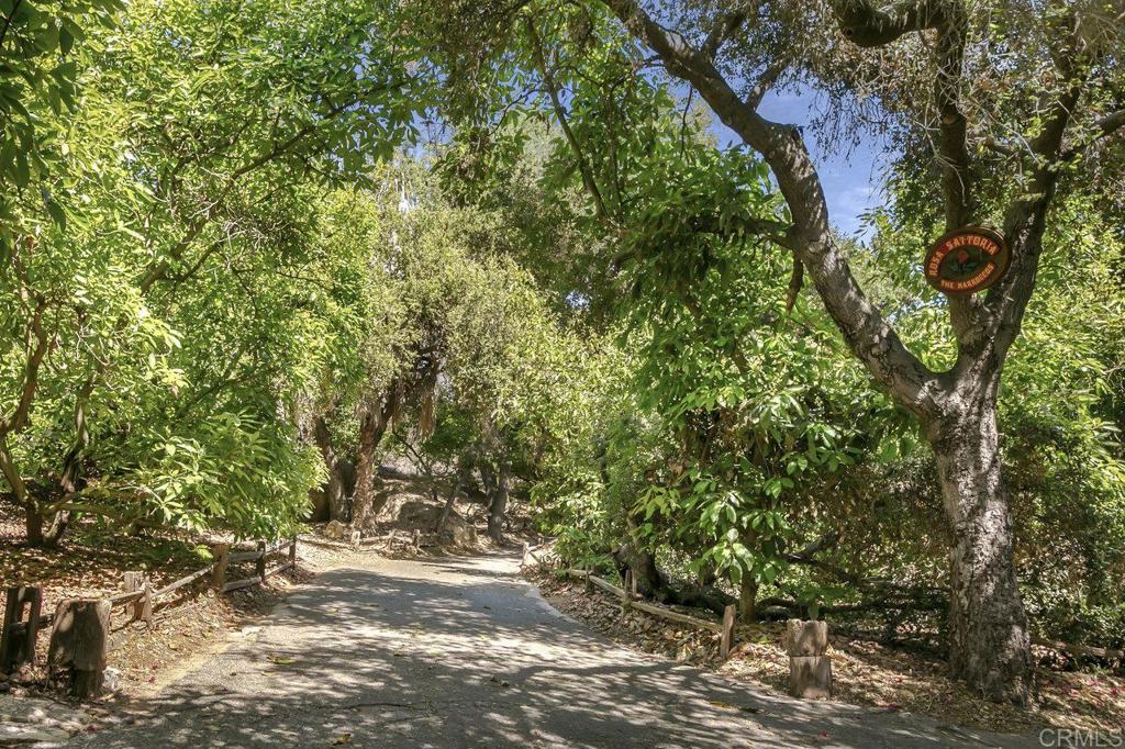 6036 Rainbow Heights Road Fallbrook, CA 92028 - Photo 18 of 70 a view of a yard with plants and large trees