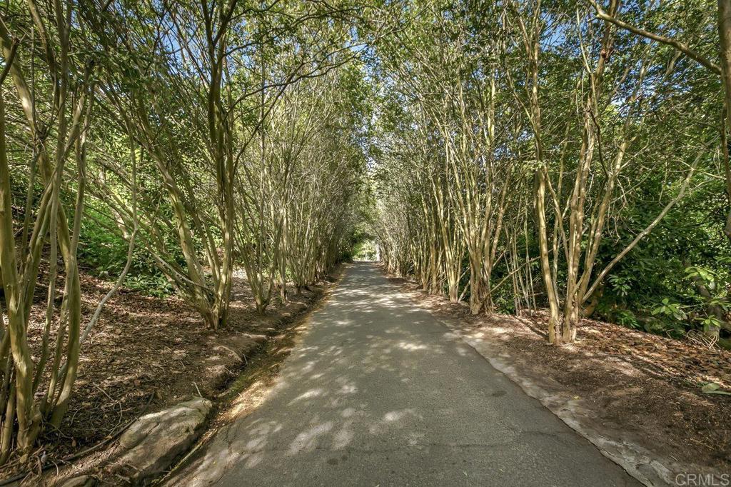6036 Rainbow Heights Road Fallbrook, CA 92028 - Photo 20 of 70 a view of a yard with plants and trees
