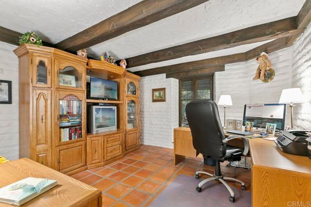 a view of a lush green plant