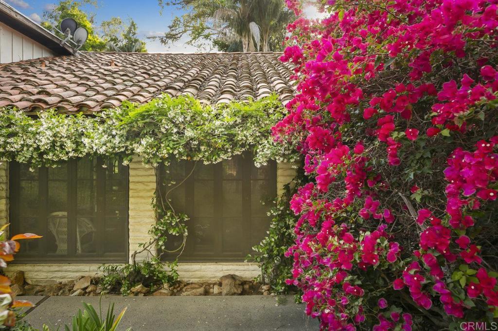 6036 Rainbow Heights Road Fallbrook, CA 92028 - Photo 42 of 70 a picture of flowers