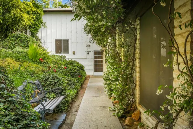 a view of a yard with plants and trees