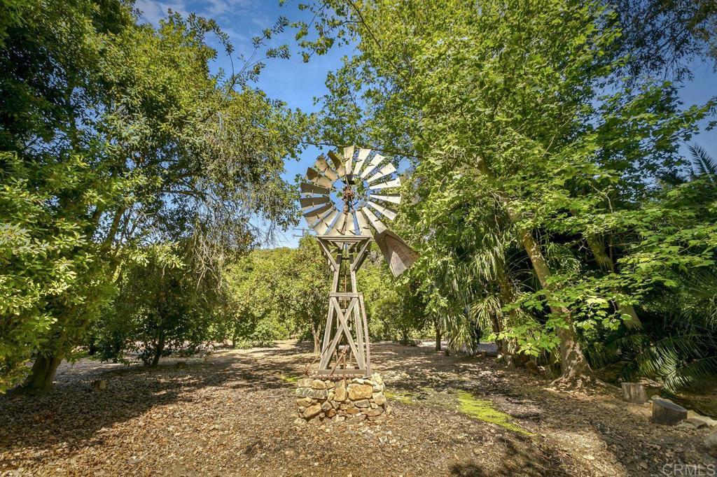 6036 Rainbow Heights Road Fallbrook, CA 92028 - Photo 50 of 70 a view of a yard with plants and trees