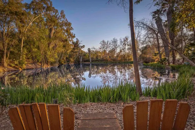 a lake view with a garden