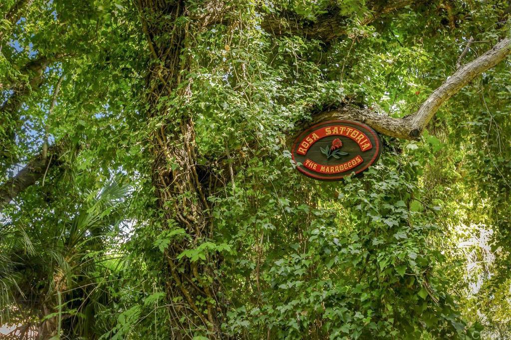 6036 Rainbow Heights Road Fallbrook, CA 92028 - Photo 51 of 70 an aerial view of a house with swimming pool and trees