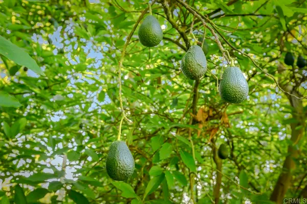 $5,999,000 | 6036 Rainbow Heights Road, Fallbrook, CA 92028