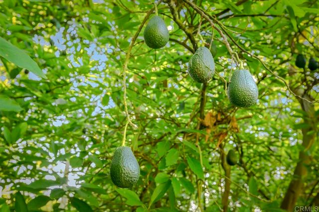 $5,999,000 | 6036 Rainbow Heights Road, Fallbrook, CA 92028