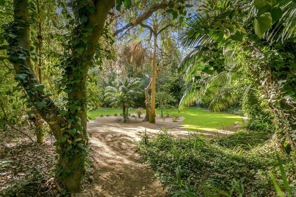 6036 Rainbow Heights Road Fallbrook, CA 92028 - Photo 53 of 70 a view of yard with green space
