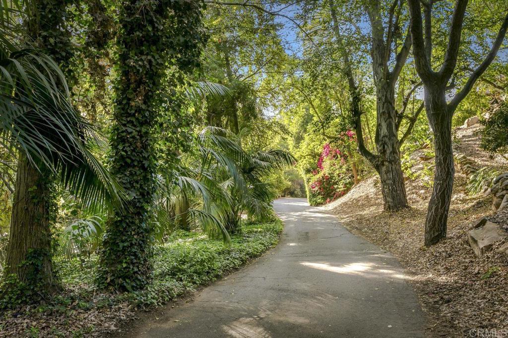 6036 Rainbow Heights Road Fallbrook, CA 92028 - Photo 62 of 70 a view of a yard with plants and trees