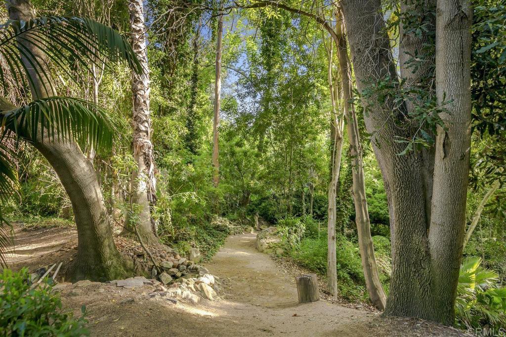 6036 Rainbow Heights Road Fallbrook, CA 92028 - Photo 63 of 70 a view of a yard with plants and trees
