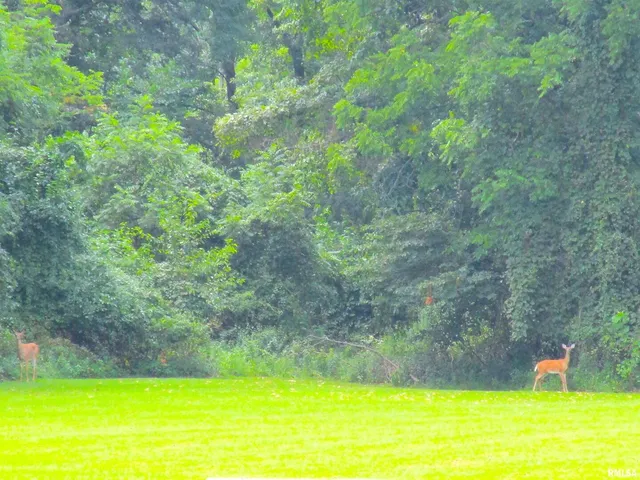 $284,000 | 1253 County Road 800 East, Carmi, IL 62821