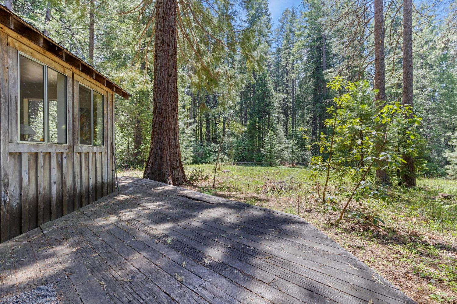 14138 La Porte Road Strawberry Valley, CA 95981 - Photo 29 of 61