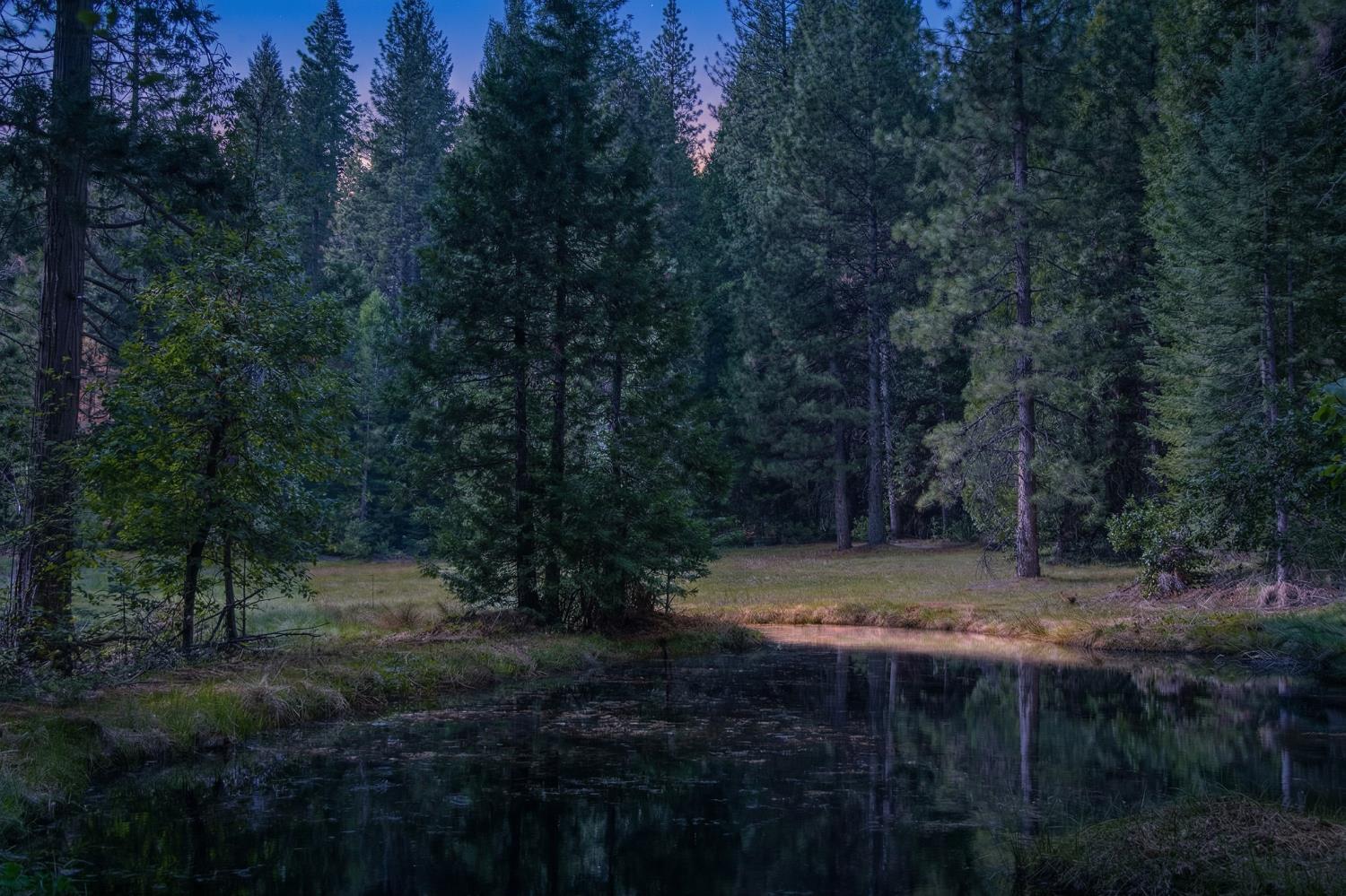 14138 La Porte Road Strawberry Valley, CA 95981 - Photo 46 of 61