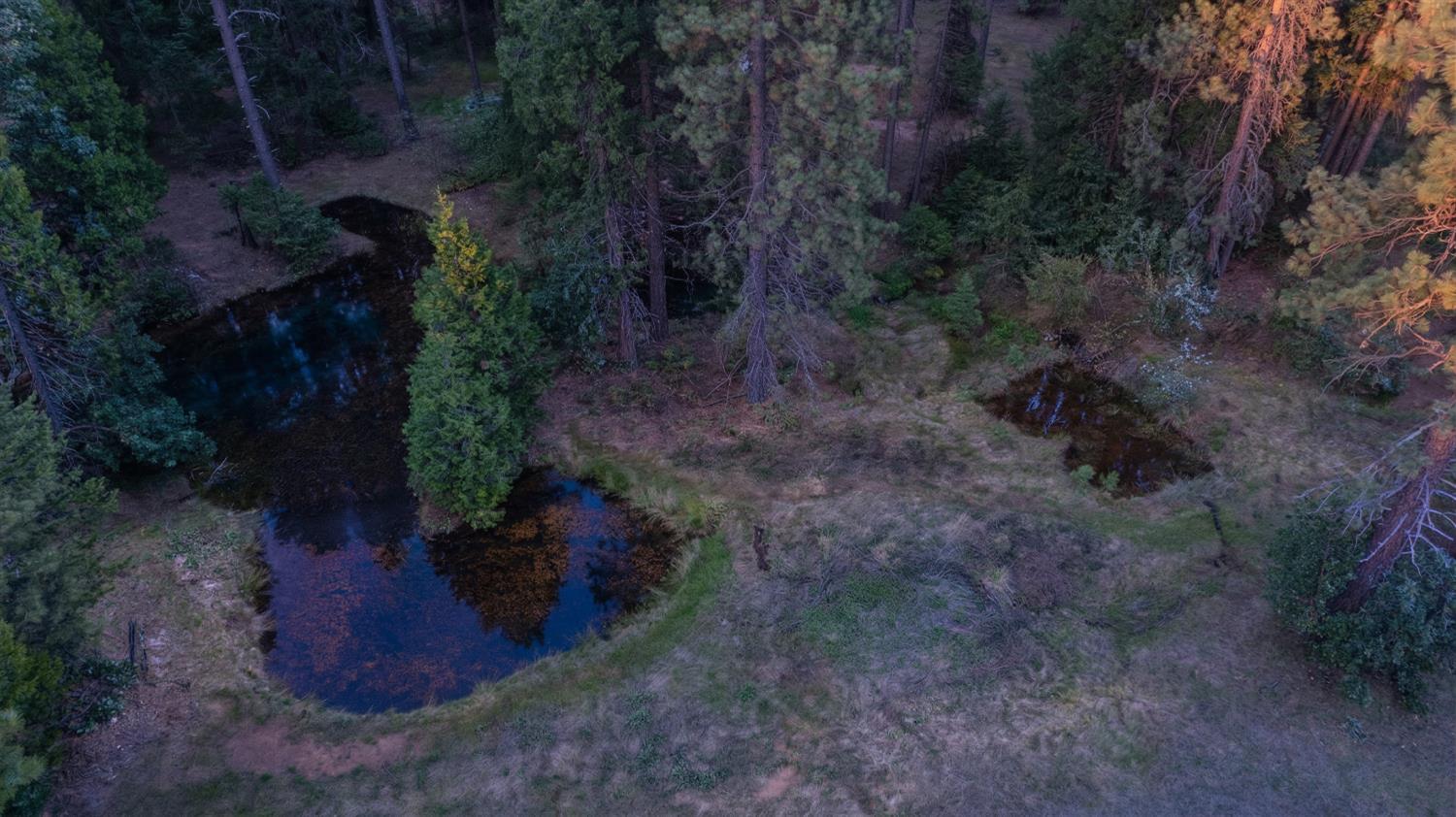 14138 La Porte Road Strawberry Valley, CA 95981 - Photo 47 of 61