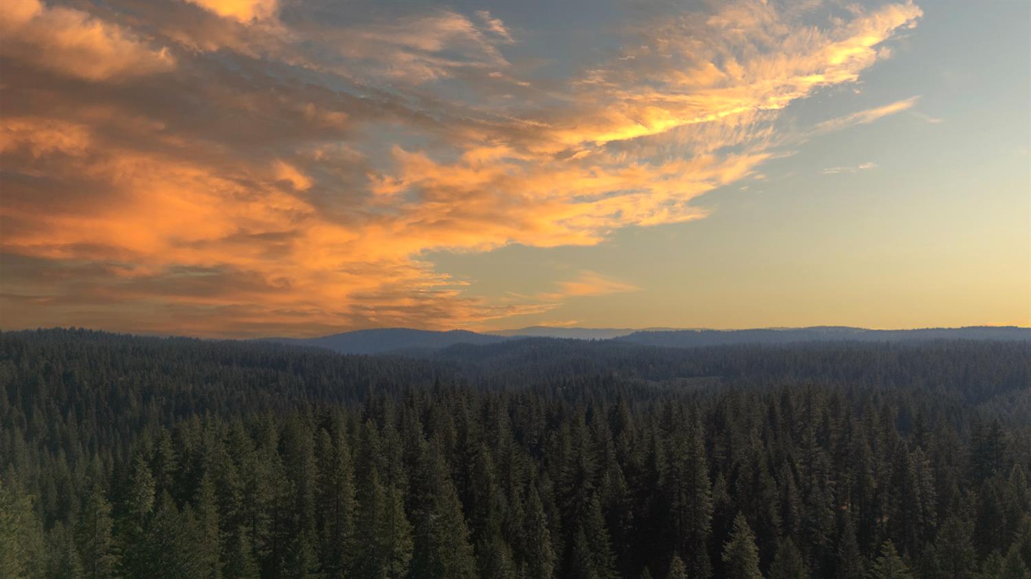 14138 La Porte Road Strawberry Valley, CA 95981 - Photo 48 of 61