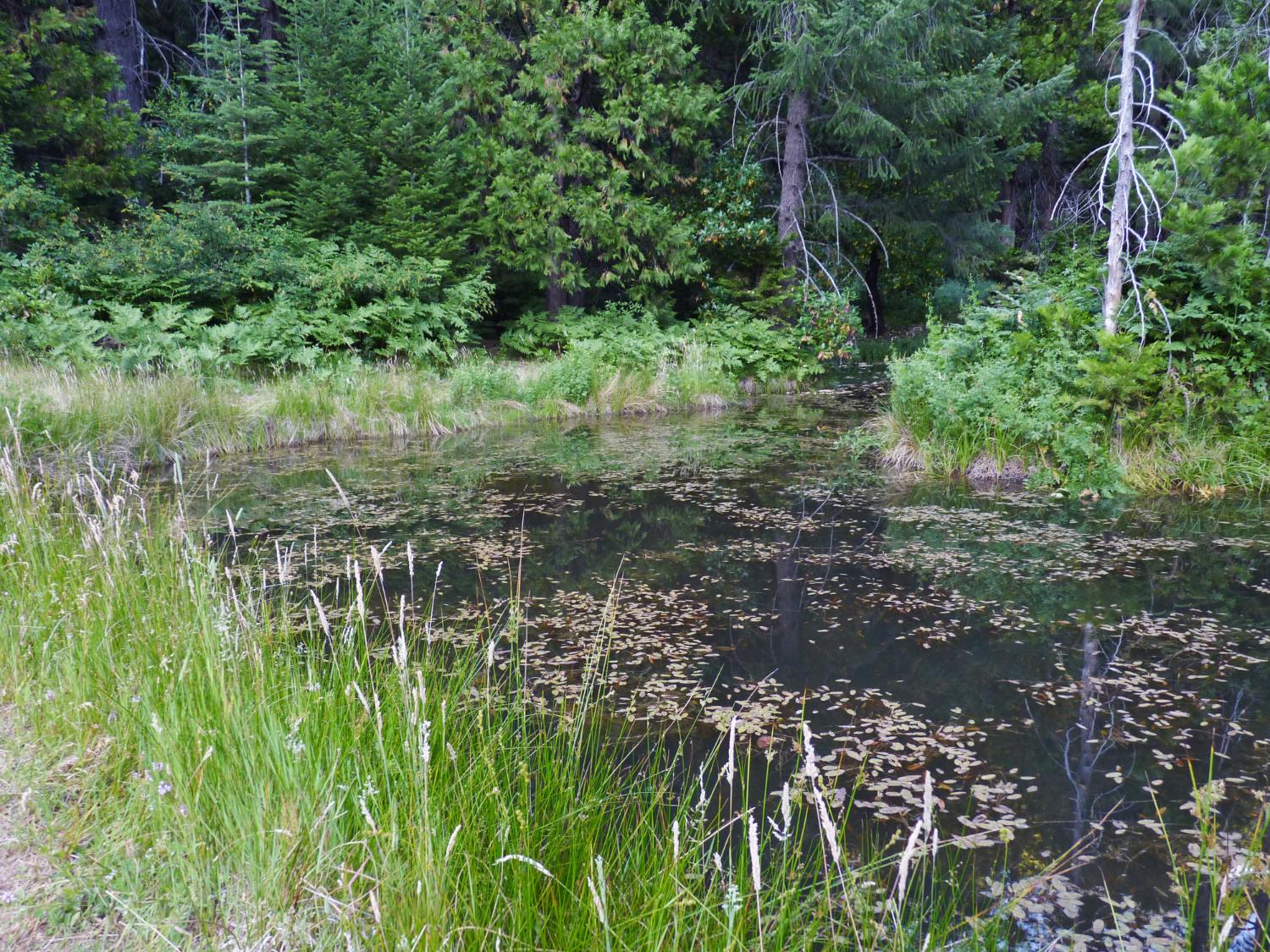 14138 La Porte Road Strawberry Valley, CA 95981 - Photo 50 of 61