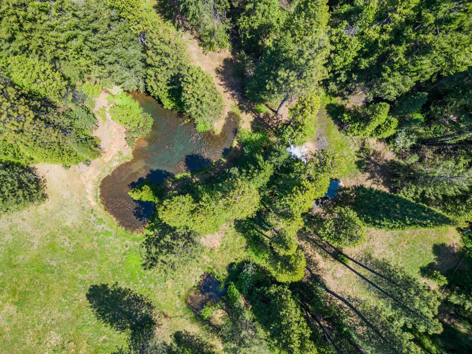 14138 La Porte Road Strawberry Valley, CA 95981 - Photo 52 of 61