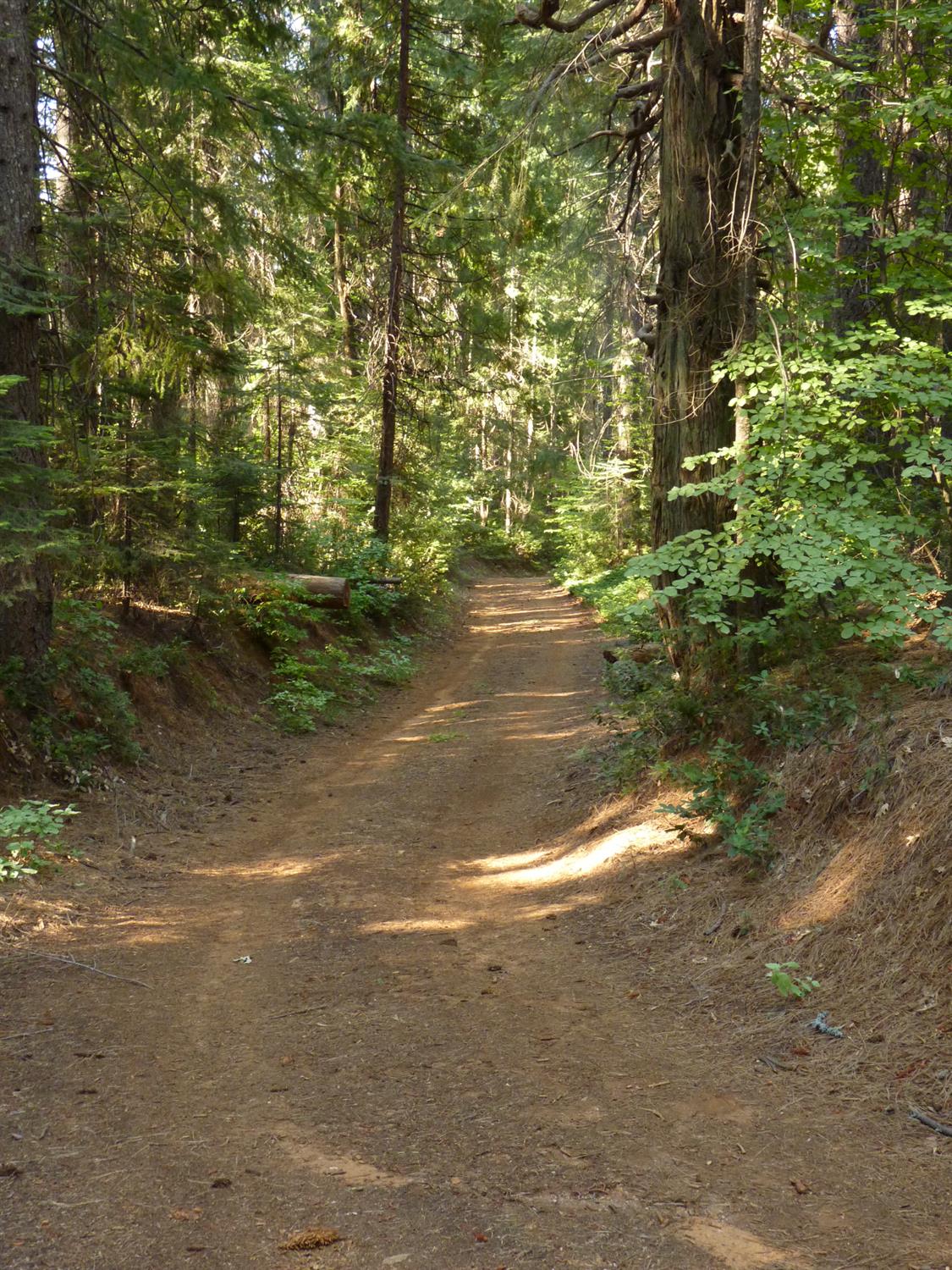 14138 La Porte Road Strawberry Valley, CA 95981 - Photo 58 of 61