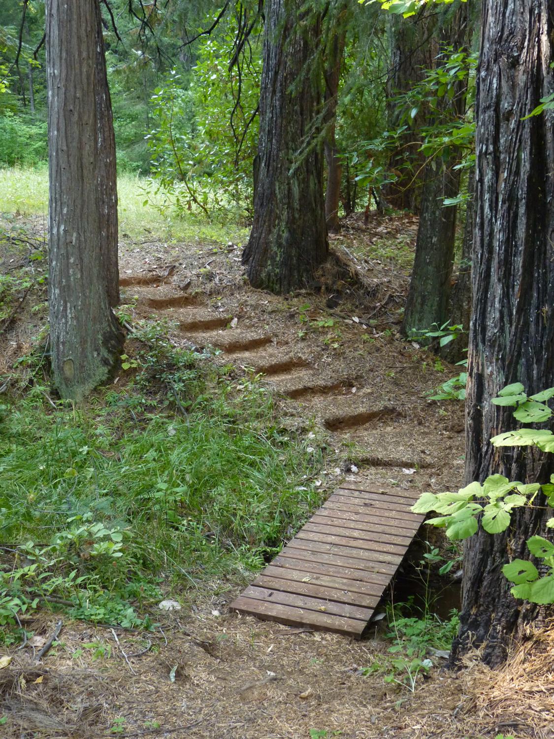 14138 La Porte Road Strawberry Valley, CA 95981 - Photo 60 of 61