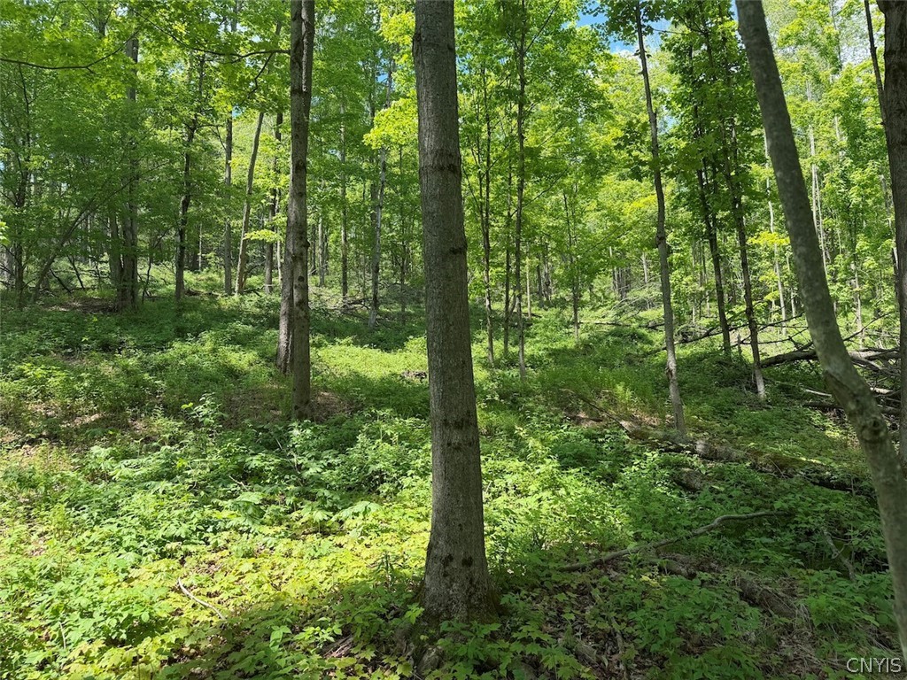 Dye Road South Dayton, NY 14138 - Photo 18 of 27