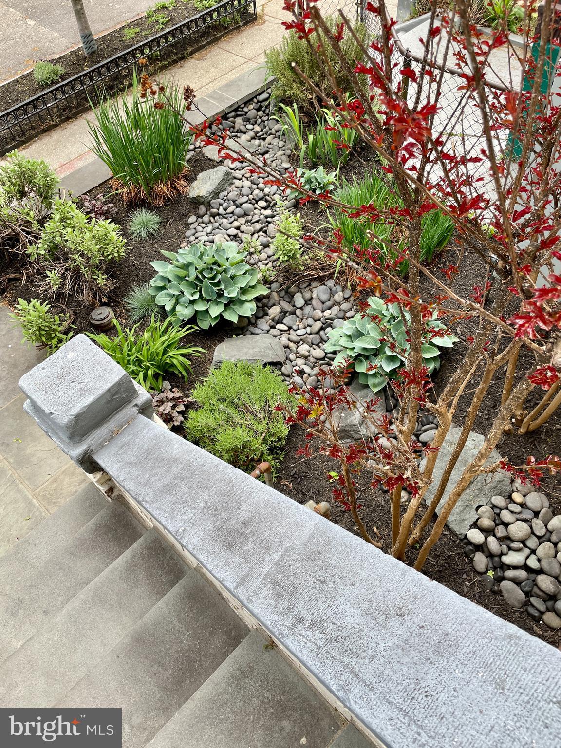 1818 1st Street Northwest, Unit 2 Washington, DC 20001 - Photo 42 of 45 Aromatherapy garden w/ lavender, sage, & rosemary