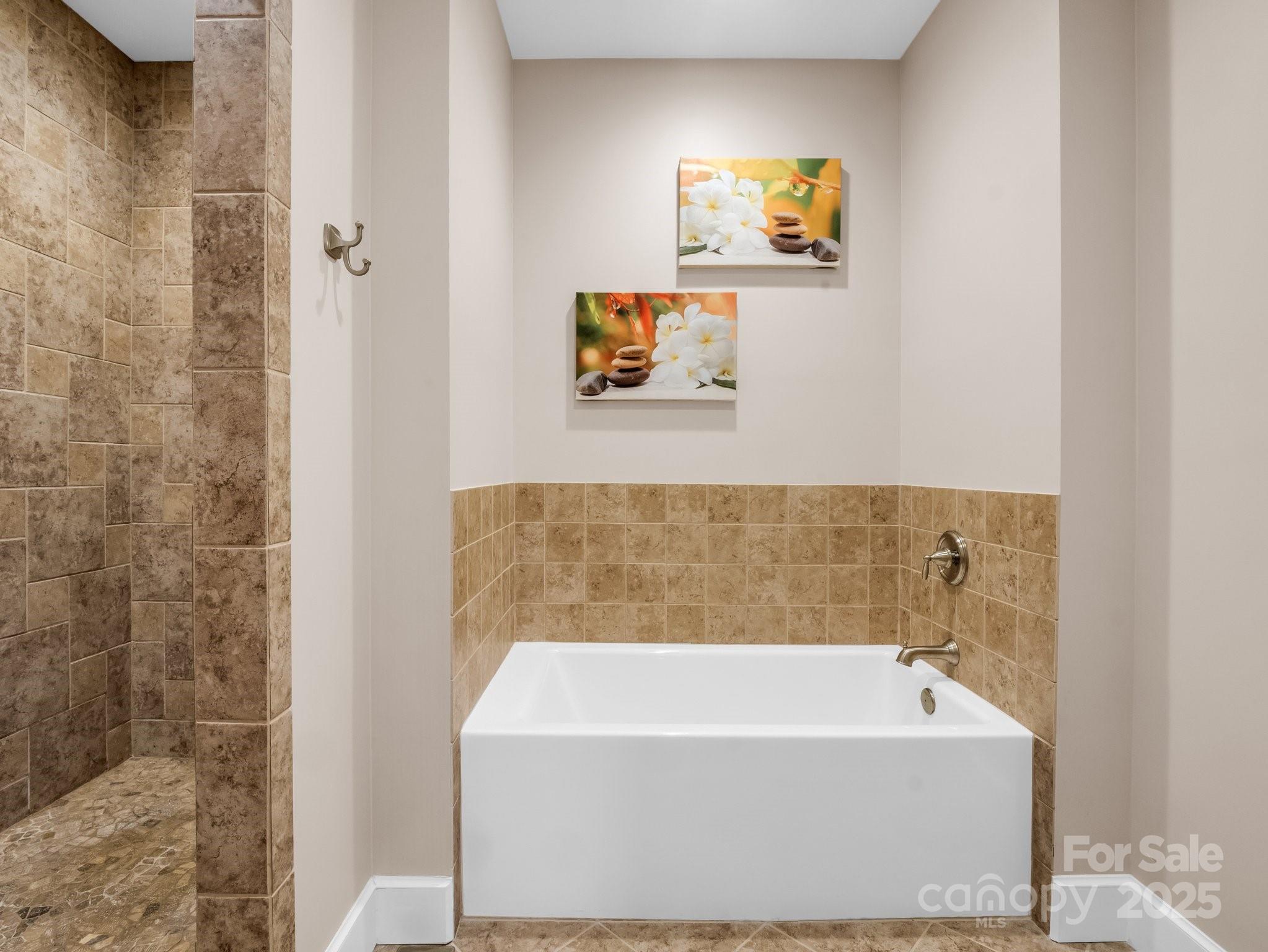 136 Firefly Cove Lake Lure, NC 28746 - Photo 38 of 48