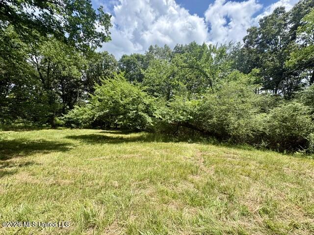 703 Burton Road Senatobia, MS 38668 - Photo 7 of 10 IMG_3815