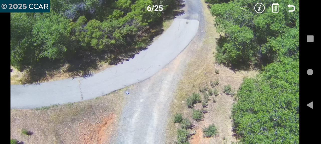 254 Elams Ranch Road Oroville, CA 95966 - Photo 11 of 12