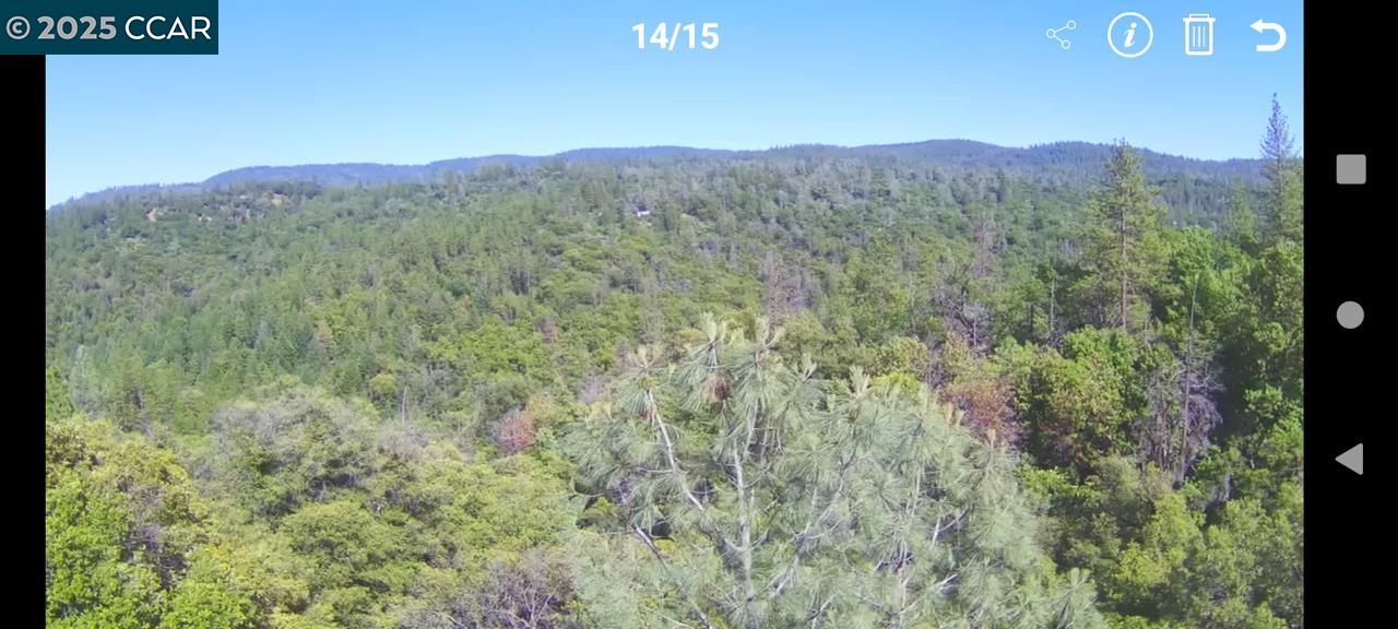 254 Elams Ranch Road Oroville, CA 95966 - Photo 12 of 12