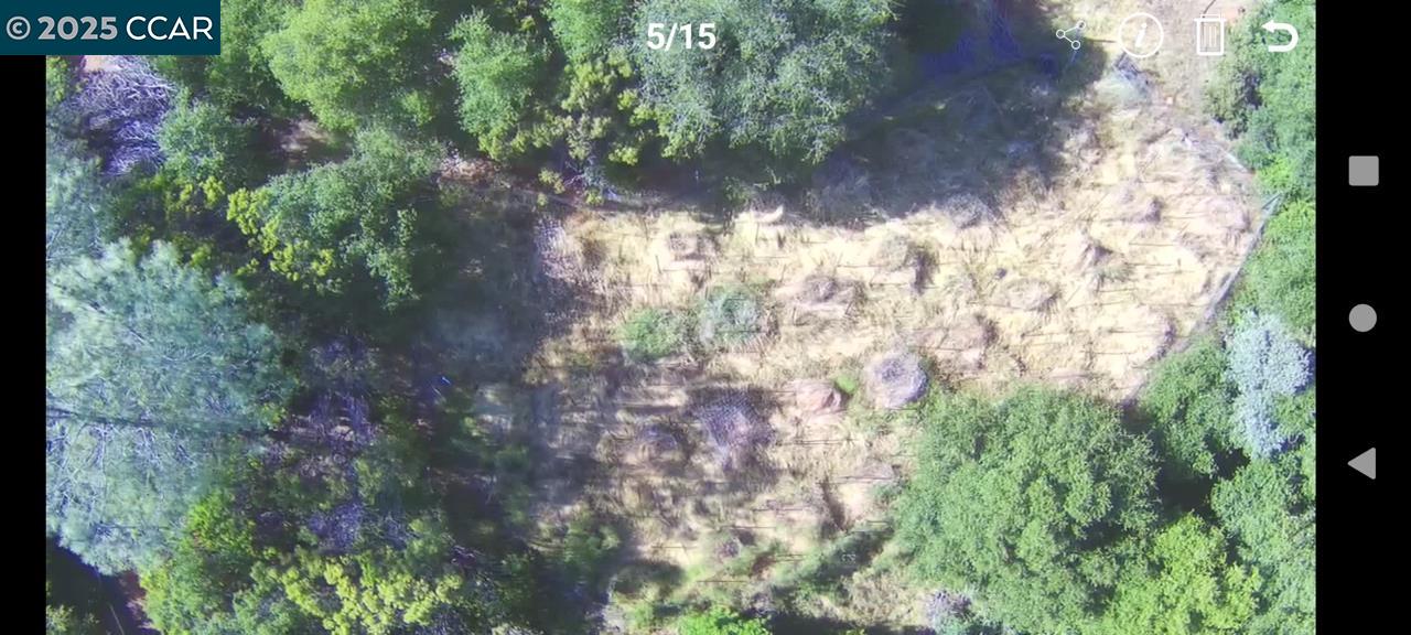 254 Elams Ranch Road Oroville, CA 95966 - Photo 2 of 12