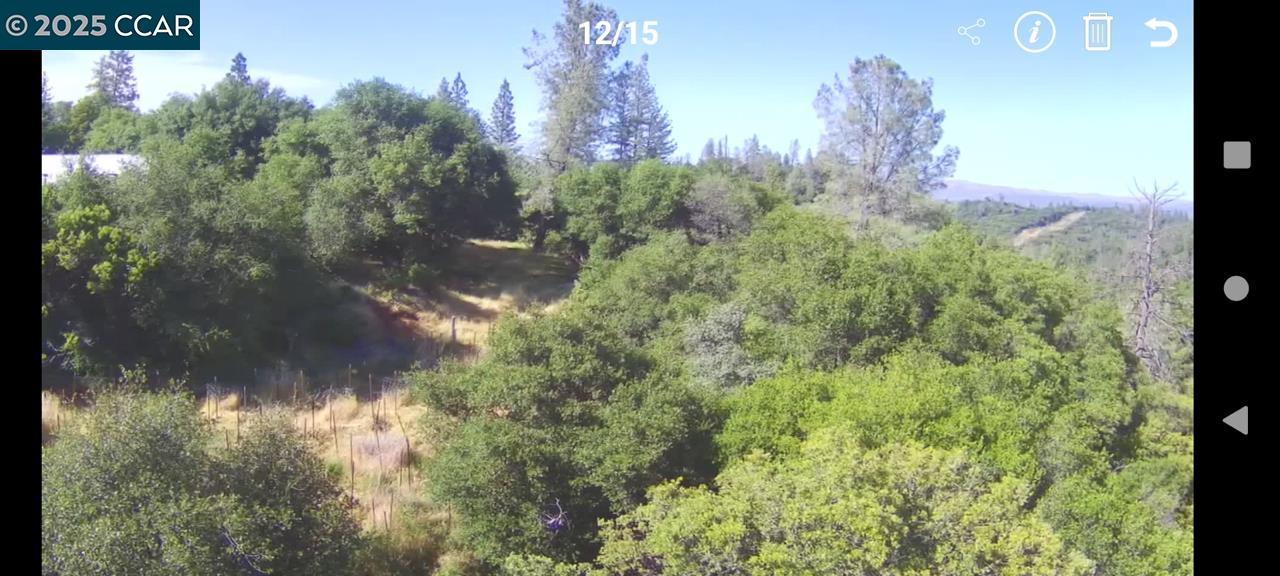 254 Elams Ranch Road Oroville, CA 95966 - Photo 4 of 12