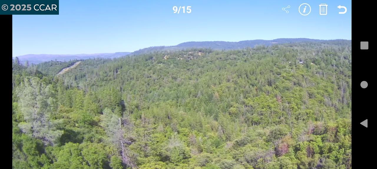 254 Elams Ranch Road Oroville, CA 95966 - Photo 5 of 12