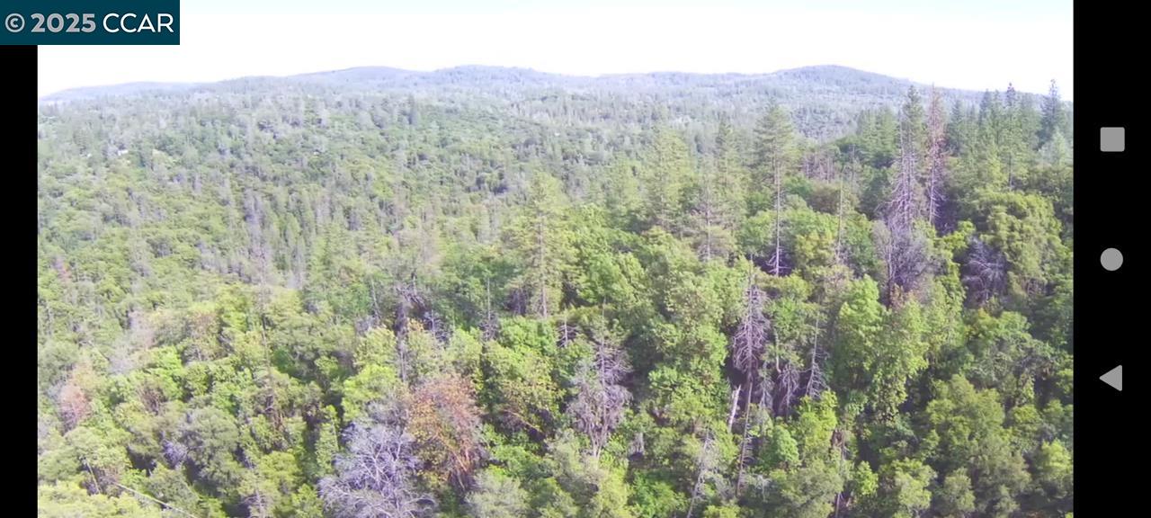 254 Elams Ranch Road Oroville, CA 95966 - Photo 8 of 12