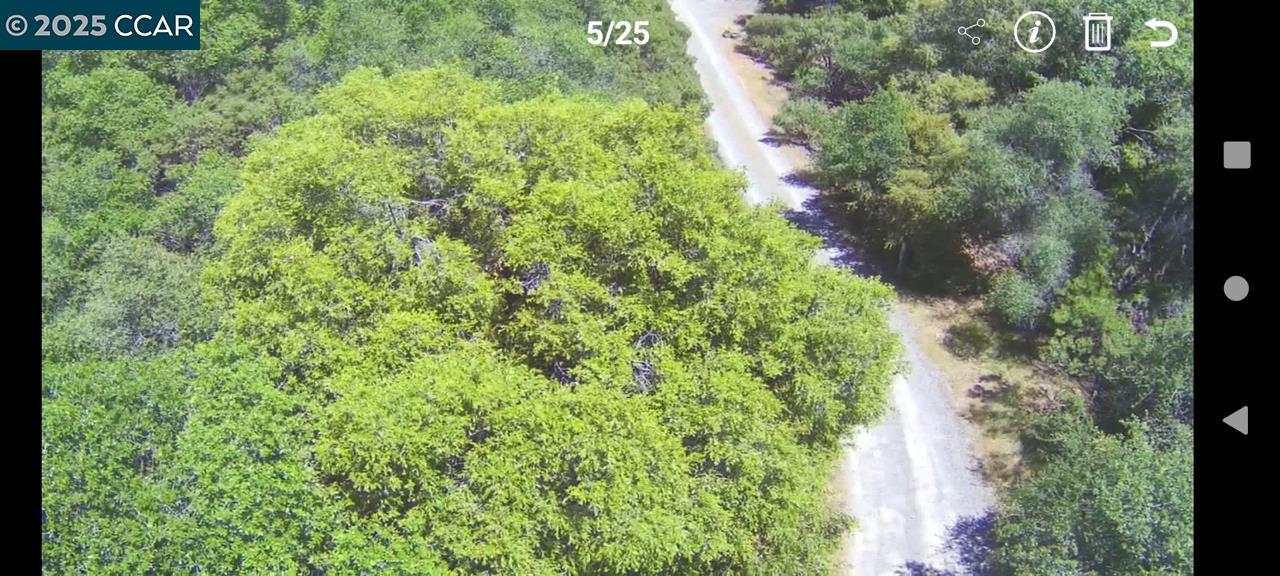 254 Elams Ranch Road Oroville, CA 95966 - Photo 10 of 12