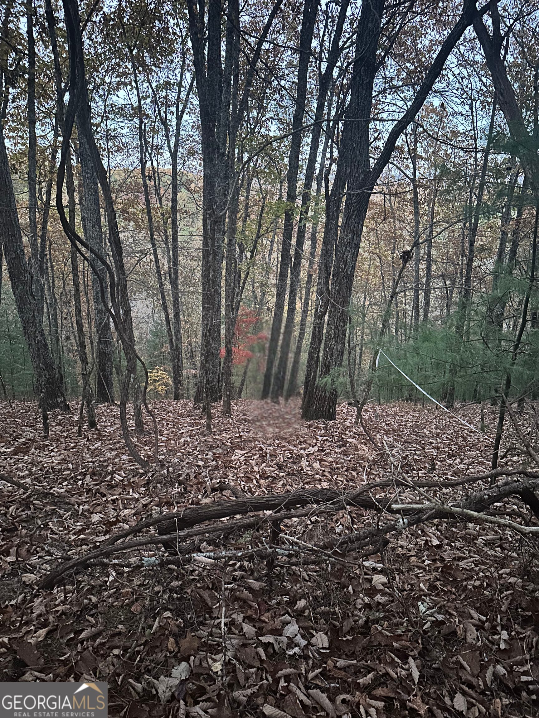 1037 Astro Court Ranger, GA 30734 - Photo 3 of 12 Autumn Season Photo
