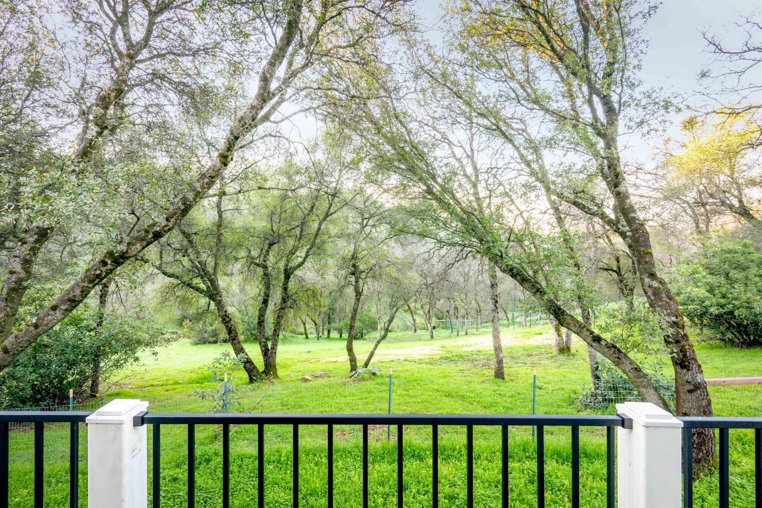 16004 Perimeter Road Grass Valley, CA 95949 - Photo 11 of 90